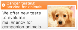 Cancer testing service for animals